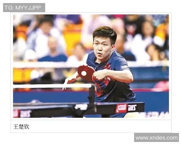 杭州乒乓球队转型之路揭秘：从传统强队到现代化竞技先锋的蜕变